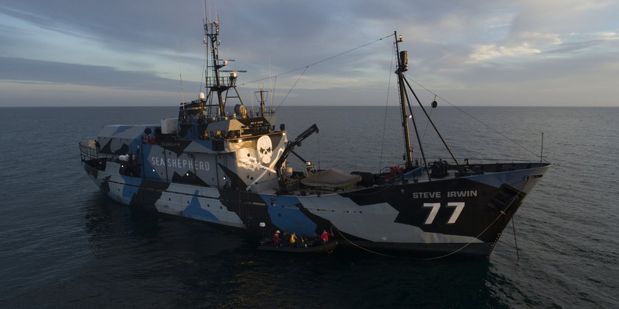 Sea Shepherd Australia